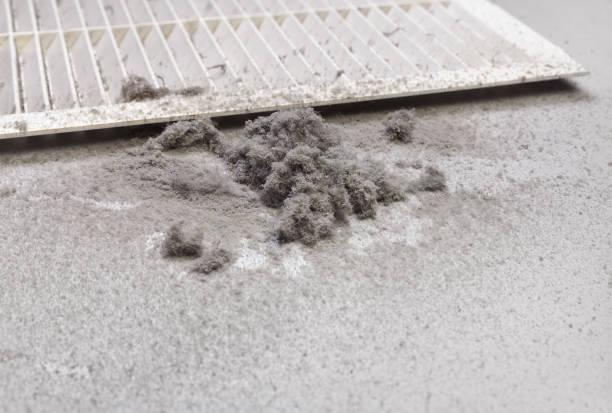 Best Emergency Air Duct Cleaning  in East Riverdale, MD