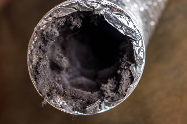 Best Affordable Duct Cleaning Services  in East Riverdale, MD